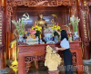 Gốc khế lịch sử và câu chuyện về Bác Hồ